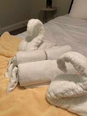 Ensemble baignoire-douche, séchoir à cheveux, serviettes fournies, savon