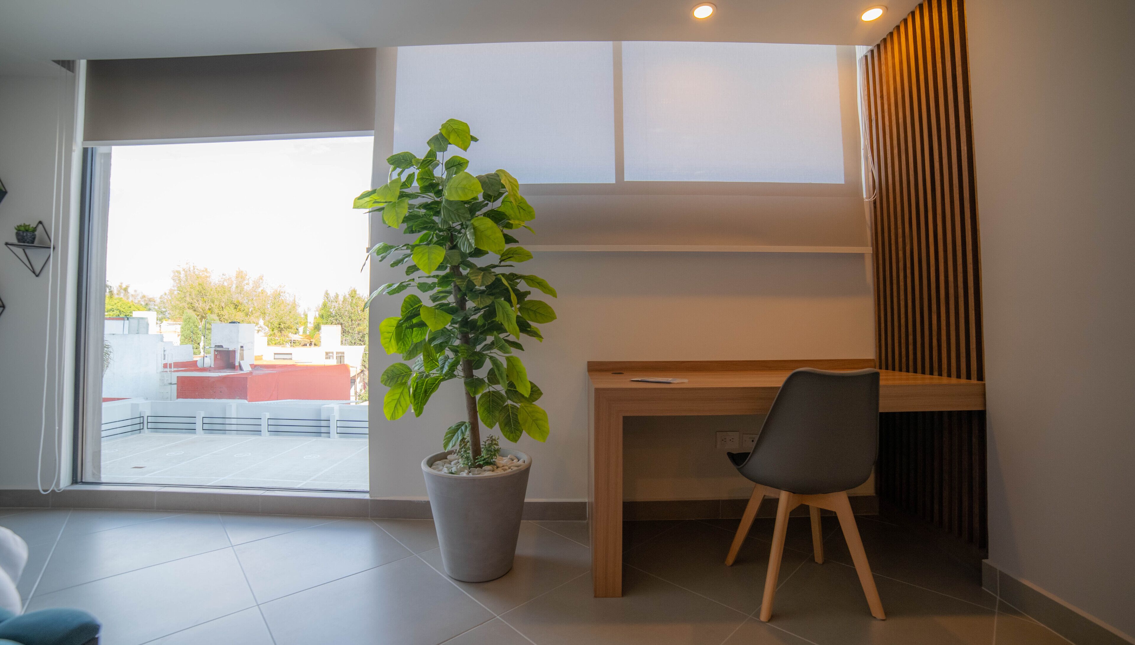 A modern office space with a large potted plant, a wooden desk, and a chair.
