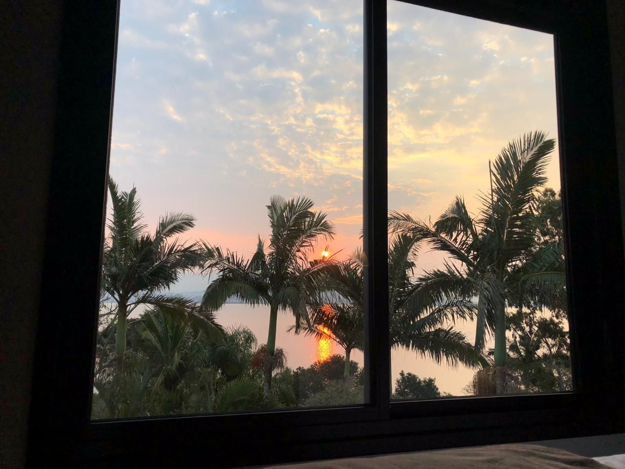 Tramonto visibile attraverso una finestra con palme.