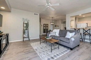 Smart TV, fireplace, books