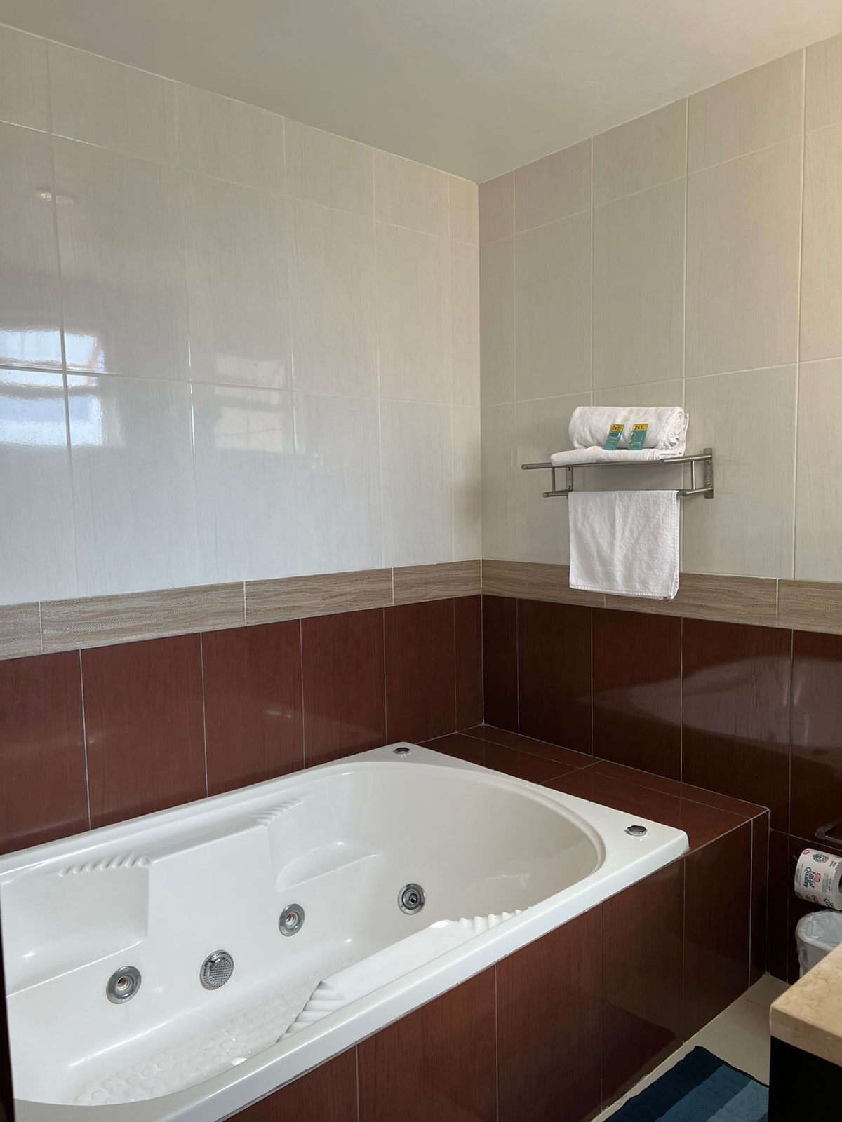 Un baño moderno con una bañera grande, un perchero con toallas y un porta papel higiénico.