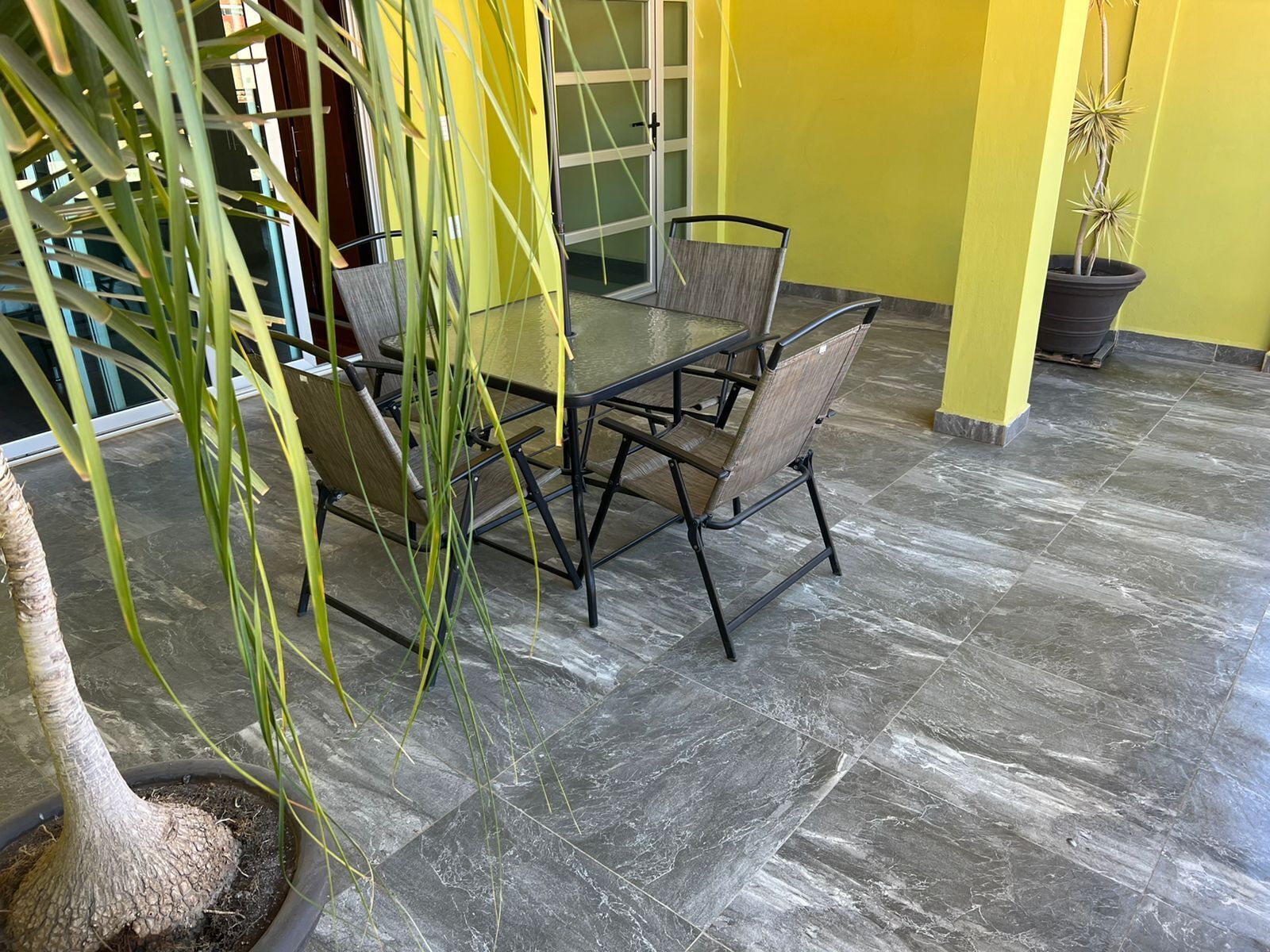 A dining area with a glass table and chairs, a potted plant, and a yellow wall.