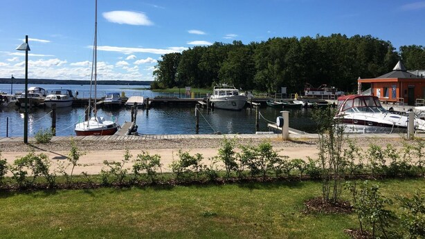 Un port de plaisance avec des bateaux amarrés, un petit bâtiment et une zone herbeuse avec des arbres.