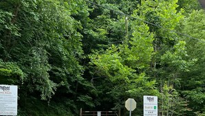 Der Beginn eines unbefestigten Pfades mit Schildern, die angeben, dass er Teil der Halffield McCoy Trails und des Buffalo Mountain Trail Systems ist.