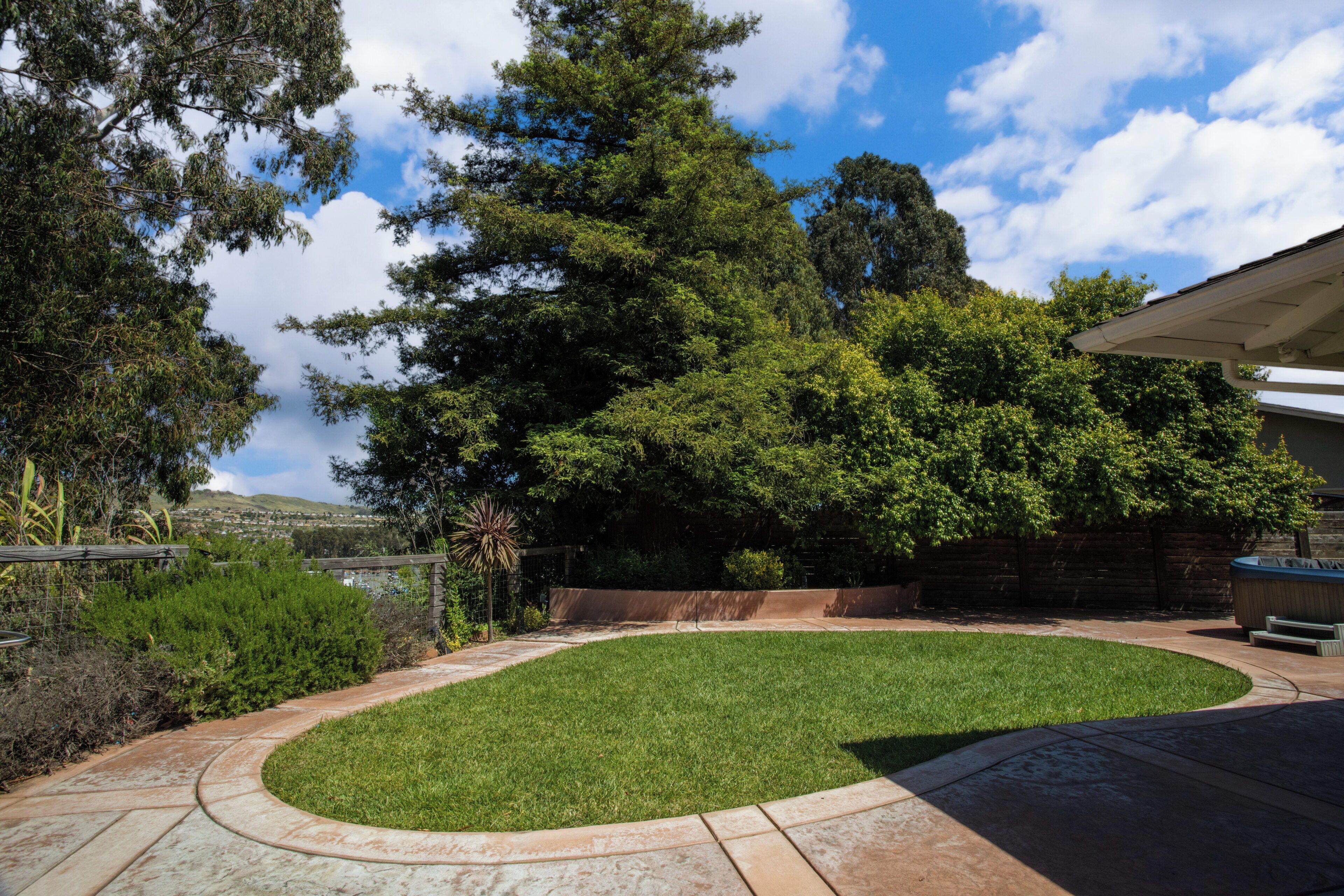 A landscaped backyard with a curved pathway, a lawn, and a wooden fence.