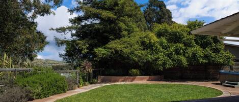 A landscaped backyard with a curved pathway, a lawn, and a wooden fence.
