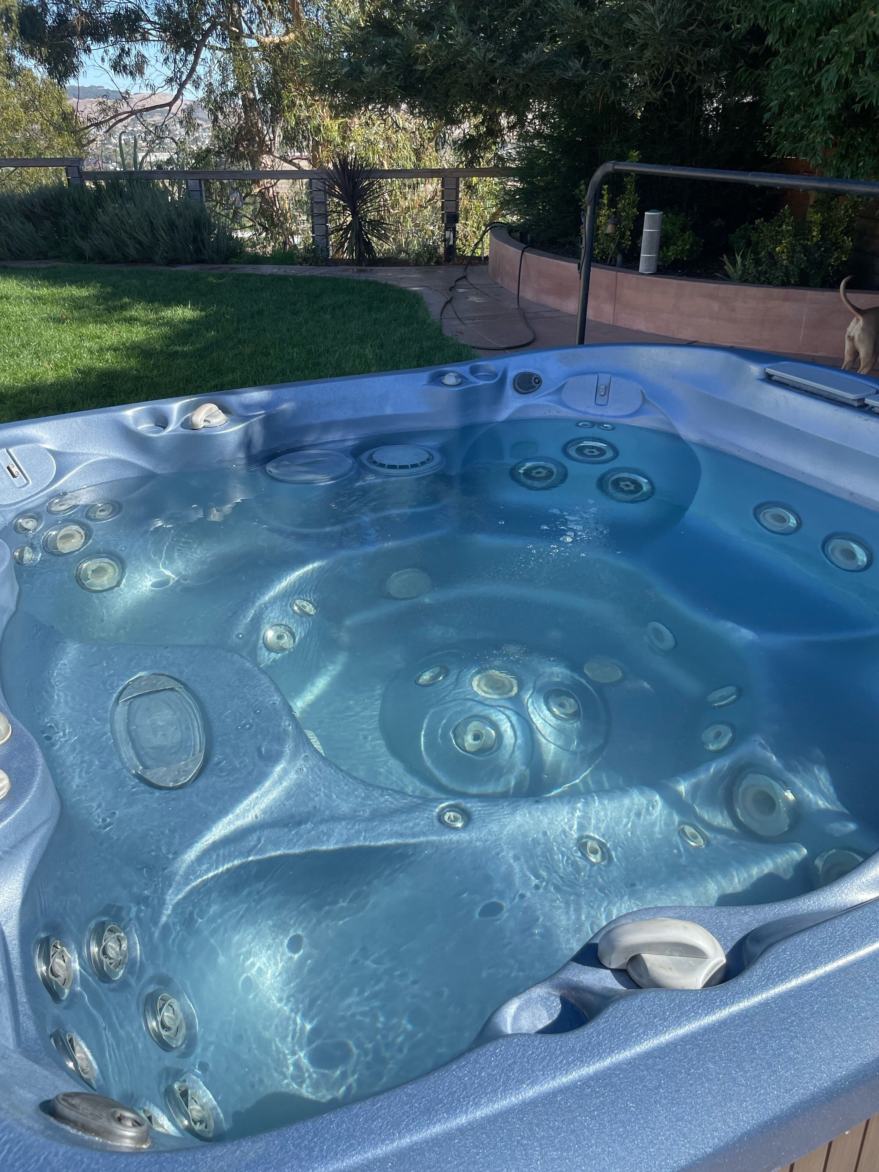 Banyera d'hidromassatge amb múltiples sortidores, envoltada d'una terrassa de fusta i una zona enjardinada.