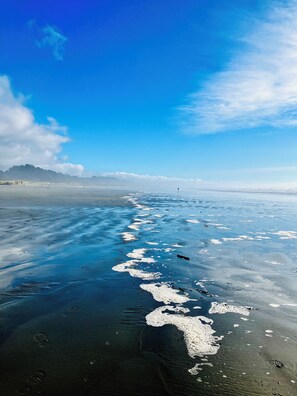 Beach nearby - Starlight Studio in Arcata with Kitchenette, fenced yard, WIFI, & full bathroom (Arcata)