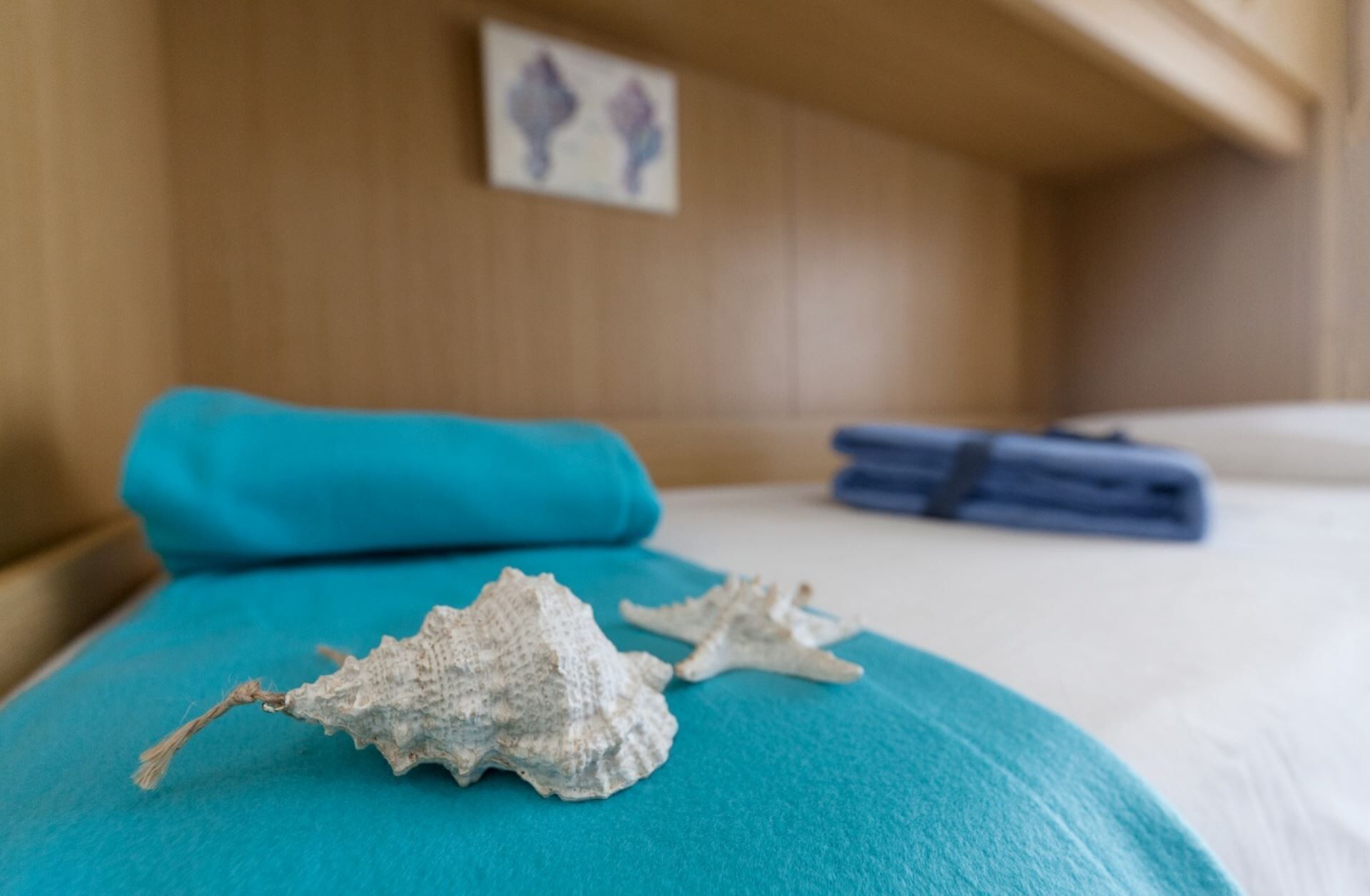 A bed with a blue pillow and two seashells on it.