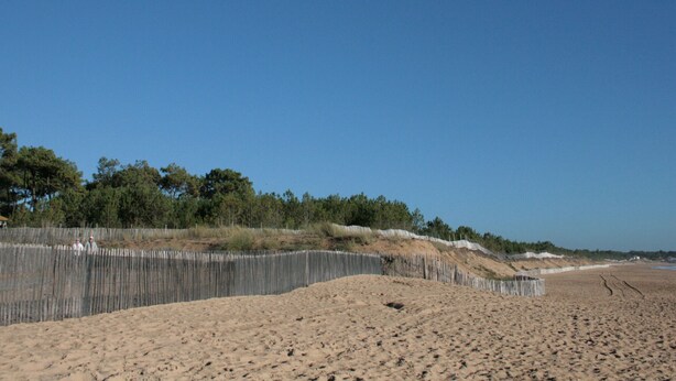 Une plage de sable avec une clôture en bois et des arbres en arrière-plan.