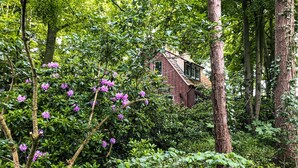 Ein rustikales Backsteinhaus, umgeben von dichtem Grün und violetten Blüten.
