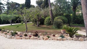 Un jardin aménagé avec différents arbres, arbustes et un chemin recouvert de gravier.