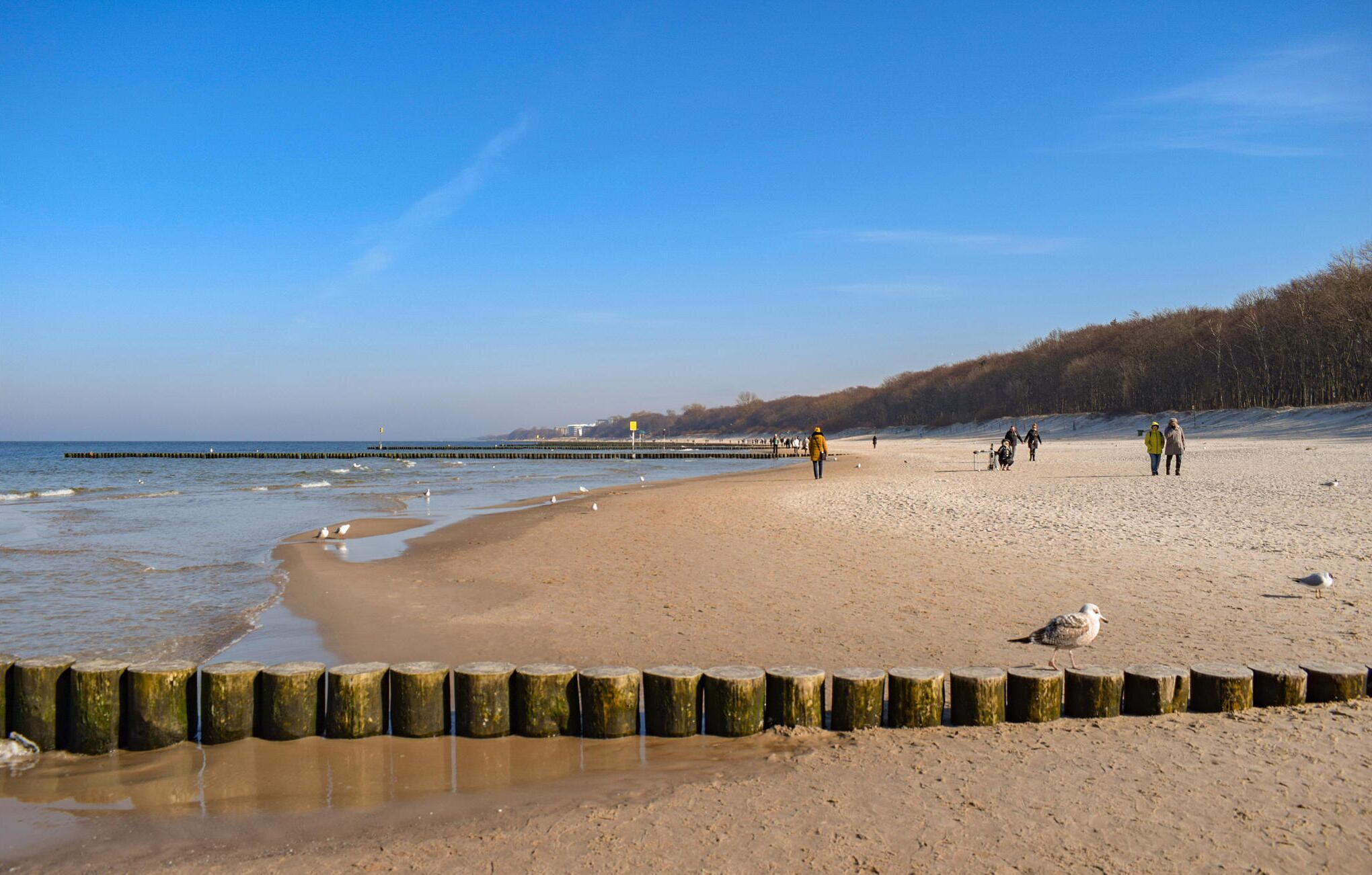 Una spiaggia nelle vicinanze