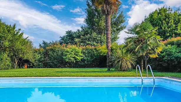 Ein Swimmingpool mit klarem, blauem Wasser, umgeben von üppigem Grün und Bäumen.