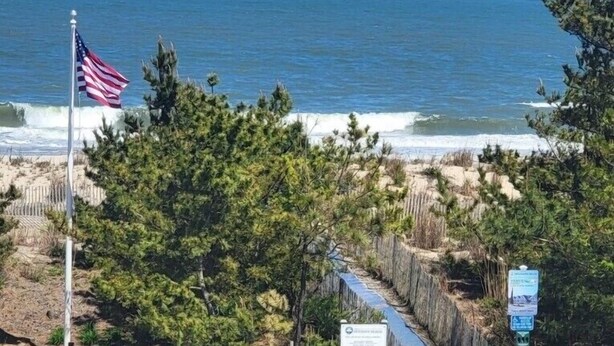 Une vue sur la côte, avec un drapeau américain, une végétation luxuriante et une plage de sable.