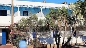 A white building with blue accents, a large blue pot, and various plants in the foreground. - Elia (Patmos)