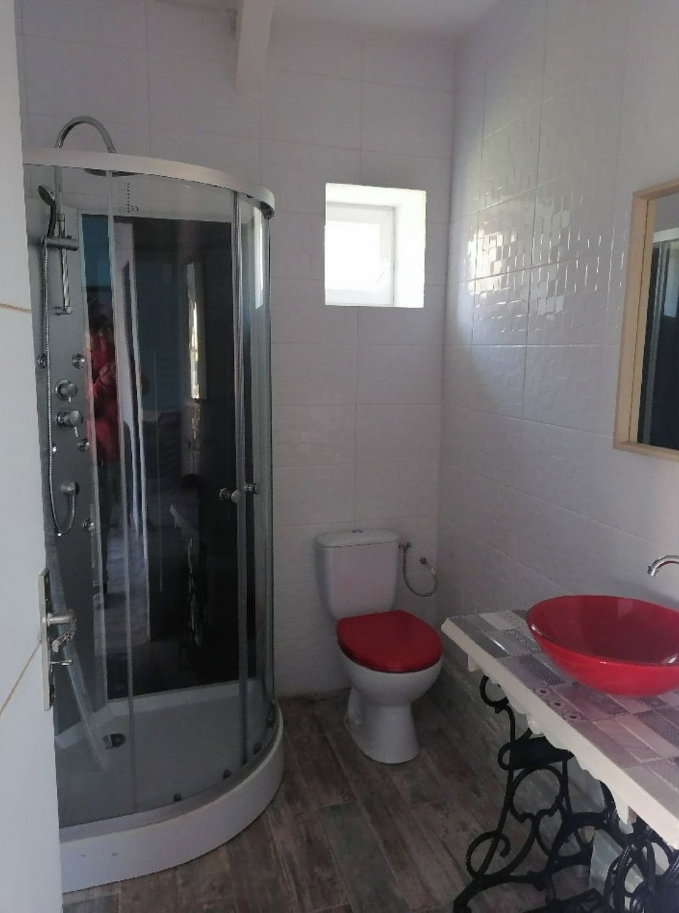 A bathroom with a glass-enclosed shower, a toilet with a red seat, and a red sink.