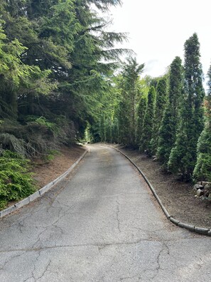 Property grounds - Craig Cottage.beautiful wildlife filled historic country cottage (Banff)