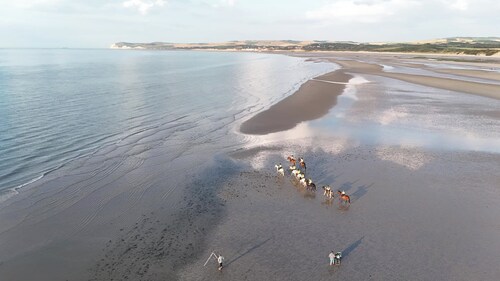 Le Big Family - Le Mont de la Louve