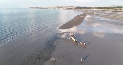 Le Big Family - Le Mont de la Louve