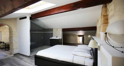 Loft dans un vignoble- 15 min de St Emilion