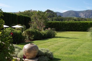 Property grounds - Charm in Luberon (Ménerbes)