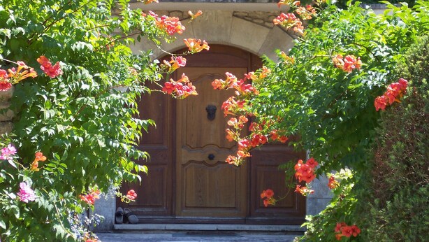 A wooden door with a stone archway, surrounded by lush green foliage and vibrant red flowers. - Charm in Luberon (Ménerbes)