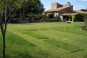 Property grounds - Charm in Luberon (Ménerbes)