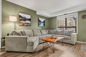 Smart TV, fireplace, books, stereo