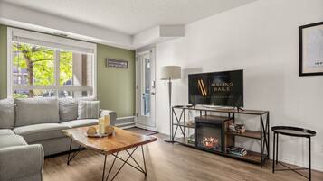 Smart TV, fireplace, books, stereo