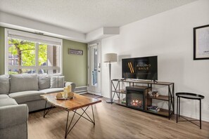 Smart TV, fireplace, books, stereo
