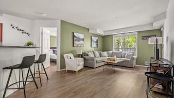 Smart TV, fireplace, books, stereo