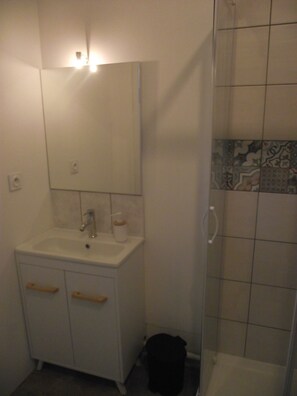 Shower, hair dryer, towels, toilet paper