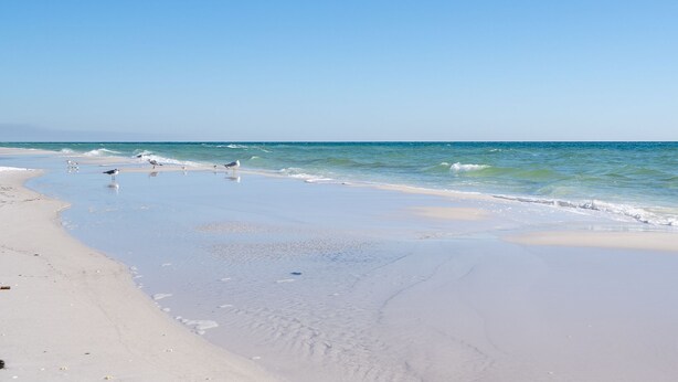 Ein Strand mit blauem Himmel und ruhigem Wasser.