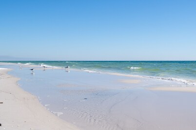 Dune Allen Beach House •Walk or Ride Golf Cart to Dinner • Steps To Beach Access