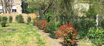 HOUSE 6 persons + 2 children At the foot of the Cévennes 2500 m² fenced garden