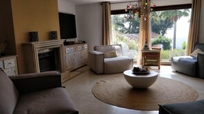 Smart TV, fireplace, books, music library