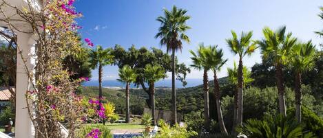 Jardines del alojamiento