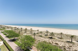 A beach with palm trees, a clear sky, and a sandy shore.