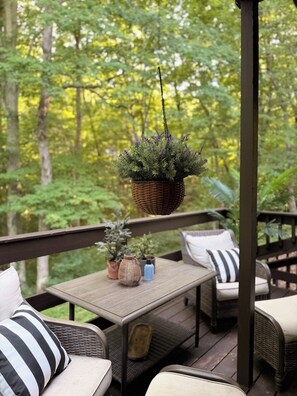 A deck with wicker furniture, a hanging planter with green foliage, and a small table with potted plants.