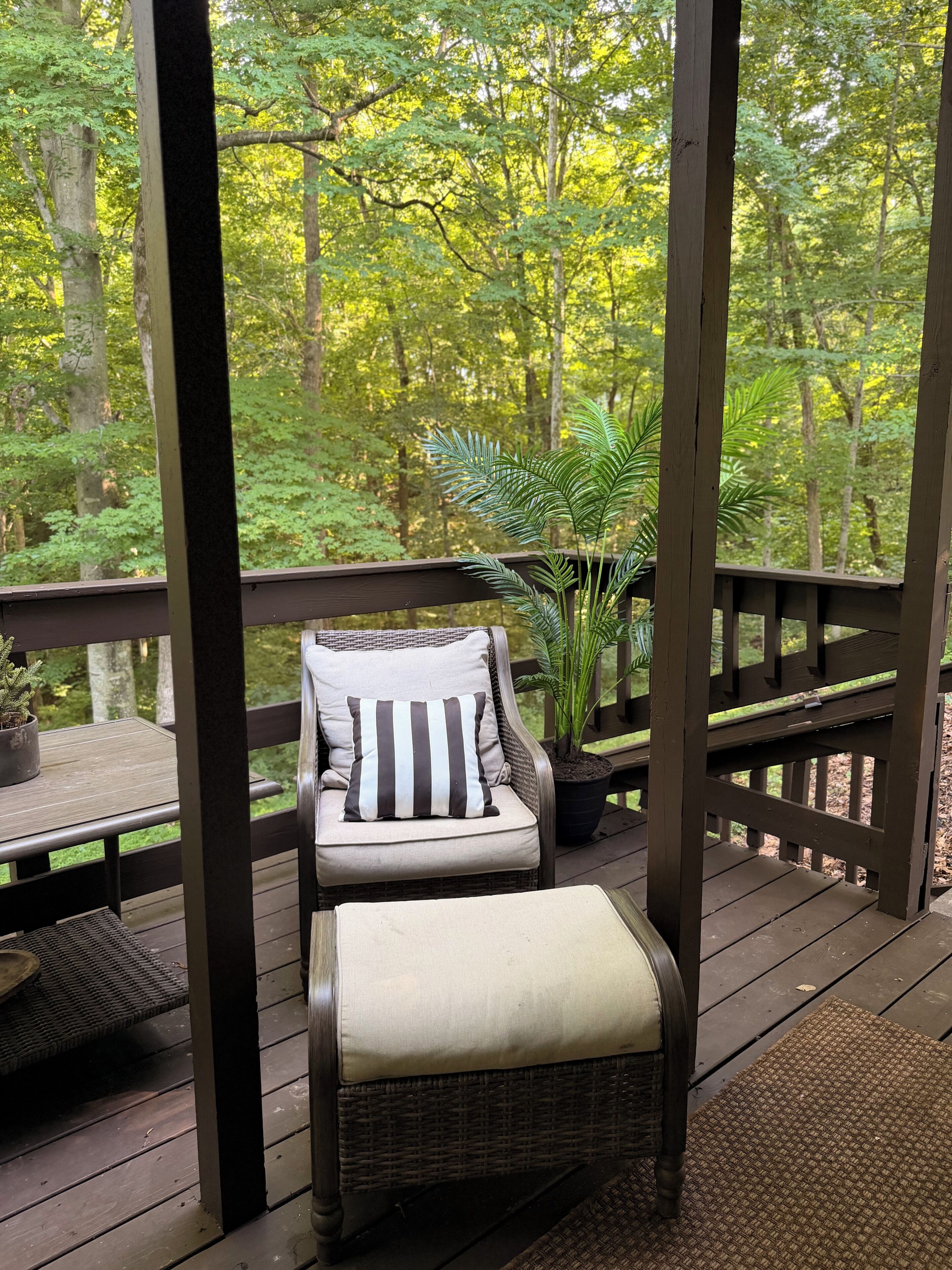 A covered outdoor seating area with wicker furniture and a potted plant.