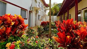 Un patio con un edificio blanco, una palmera y follaje rojo y amarillo intenso.