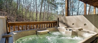  Dollywood - Best Location & Value