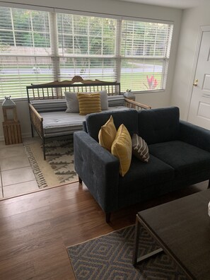 Smart TV, fireplace, books