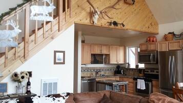 Smart TV, fireplace, DVD player, books