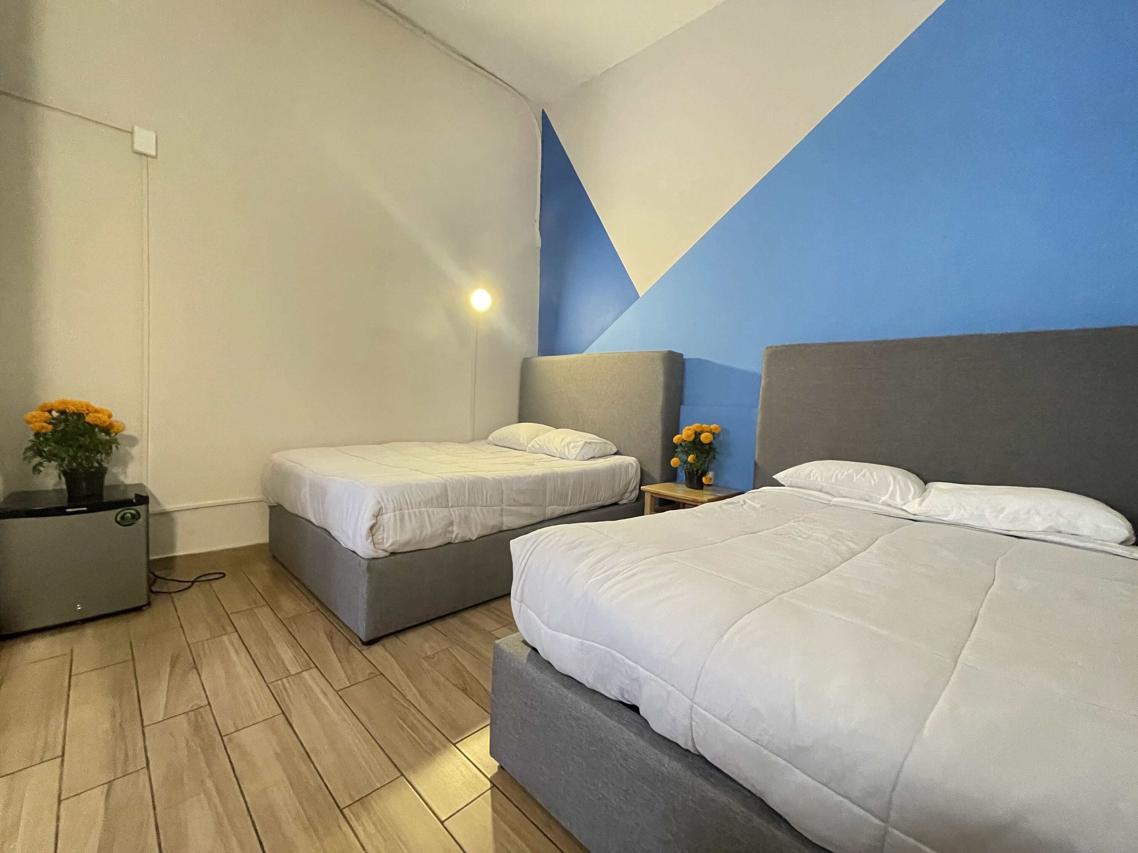 Foto - Colmena Hotel CDMX Tonala