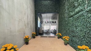 Un pasillo con pared verde y un letrero que dice "COLMENA". Hay plantas en macetas con flores amarillas a ambos lados del sendero.