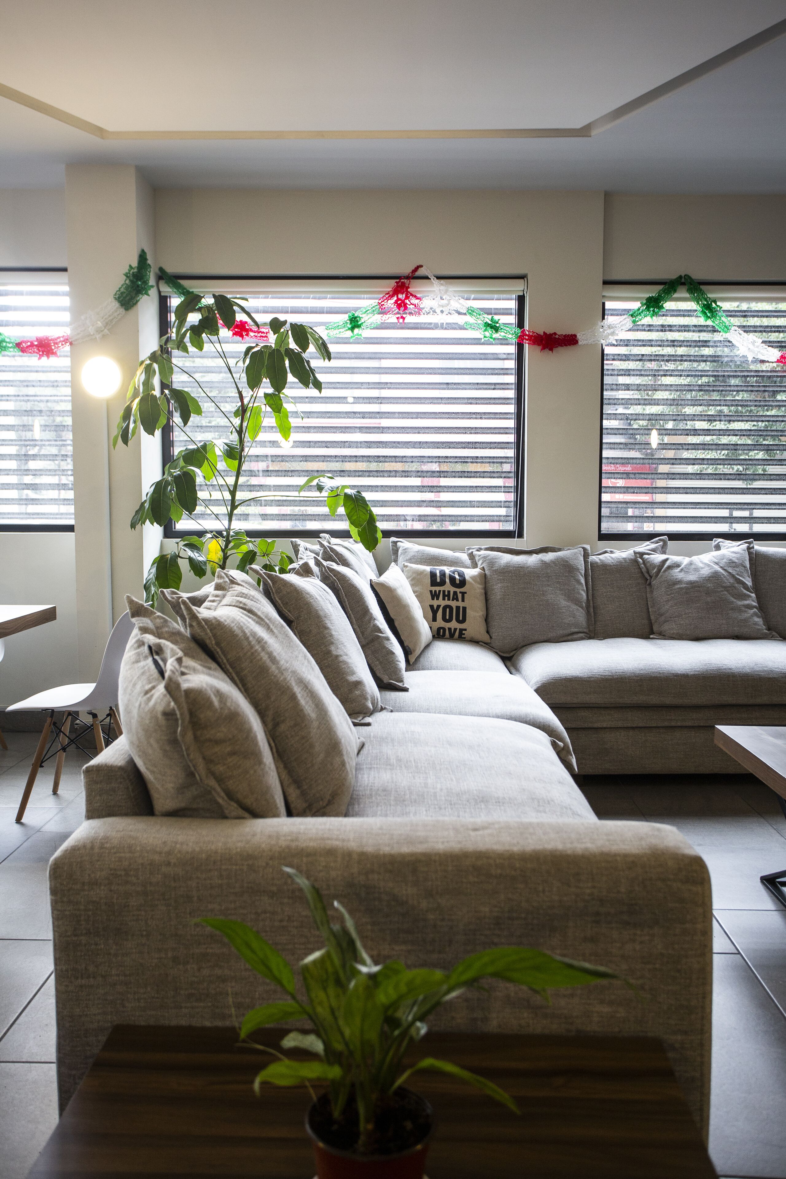 Foto - Colmena Hotel CDMX Tonala