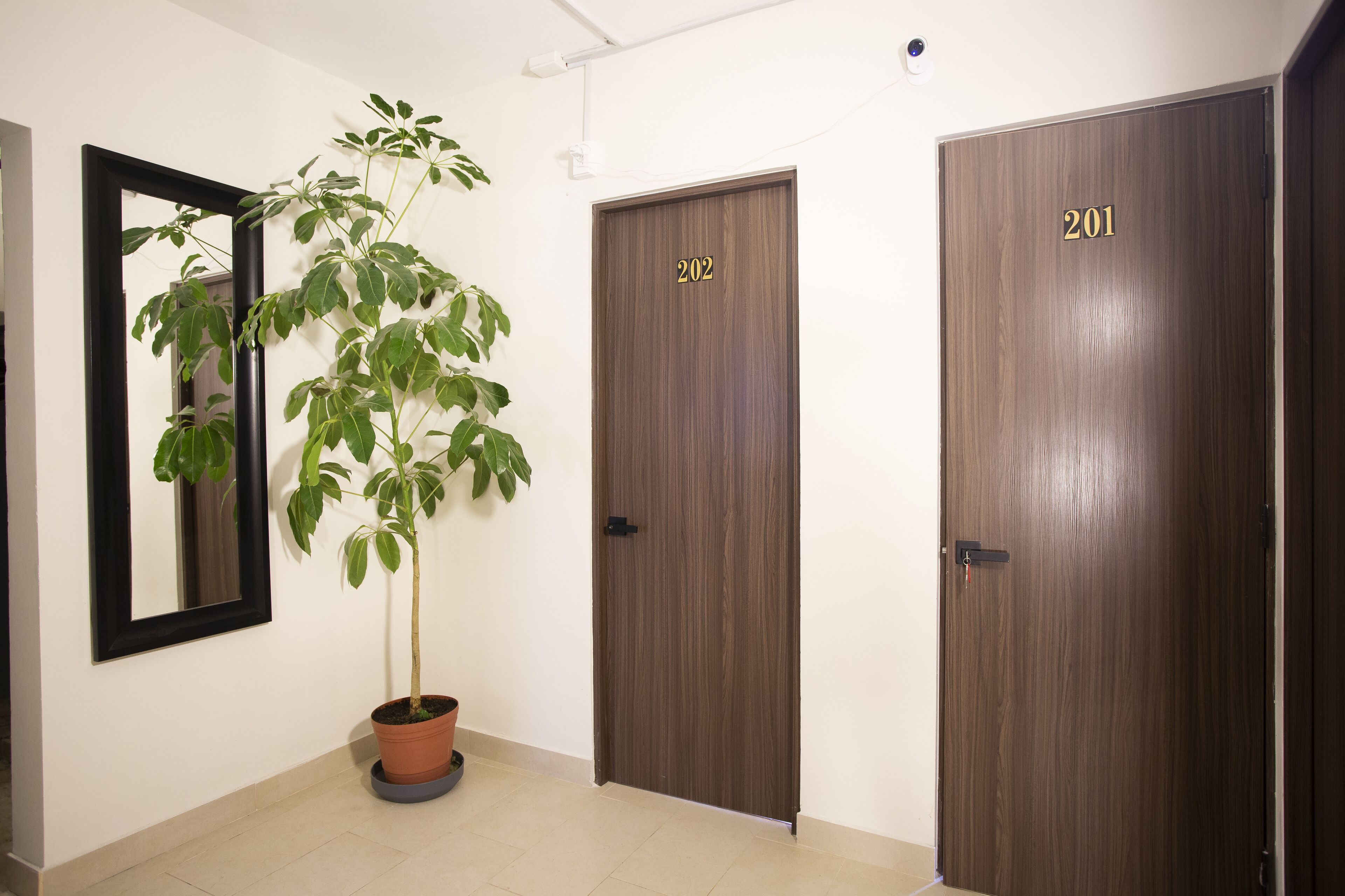 Foto - Colmena Hotel CDMX Tonala