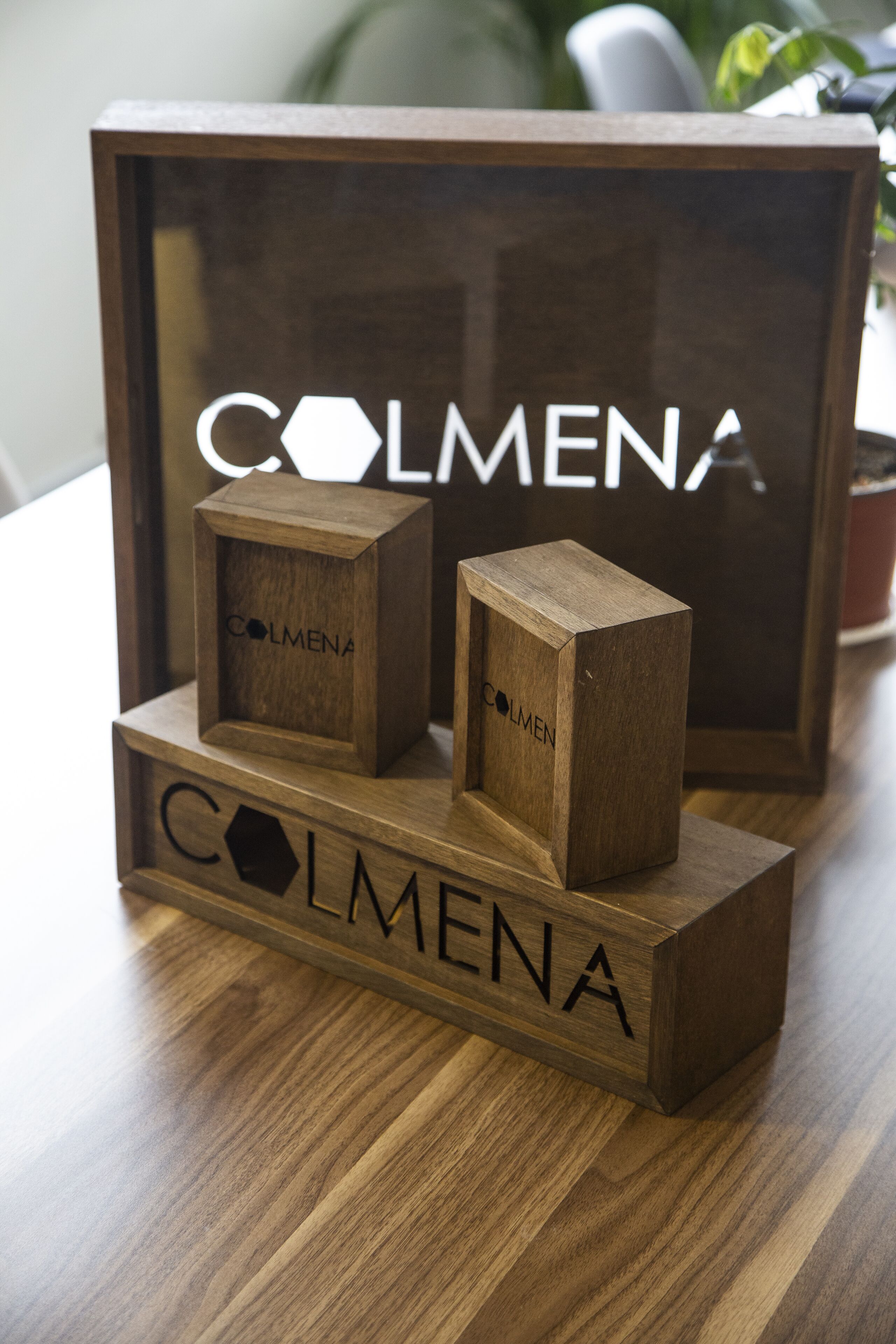 Foto - Colmena Hotel CDMX Tonala